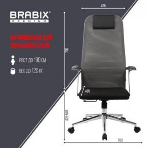 Кресло офисное BRABIX PREMIUM "Ultimate EX-801" хром, плотная двойная сетка Х2, черное/серое, 532918 в Менделеевске - mendeleevsk.mebel24.online | фото 5