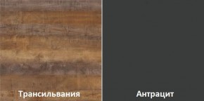 Кухонный гарнитур угловой Трансильвания 2400x1600 мм (Стол. 38 мм) Антрацит/Трансильвания в Менделеевске - mendeleevsk.mebel24.online | фото 3