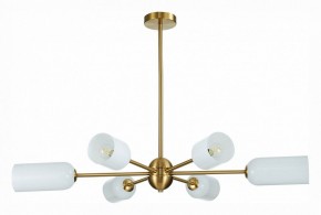 Люстра на штанге ST-Luce Treviso SL1180.202.06 в Менделеевске - mendeleevsk.mebel24.online | фото 2