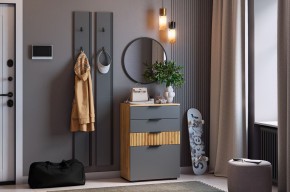 МЕБЕЛЬСОН К21 Прихожая в Менделеевске - mendeleevsk.mebel24.online | фото 2