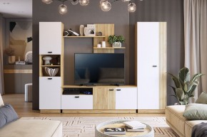 МОДИ К2 Стенка в Менделеевске - mendeleevsk.mebel24.online | фото