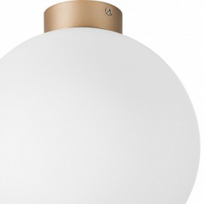Накладной светильник Lightstar Globo 812033 в Менделеевске - mendeleevsk.mebel24.online | фото 2