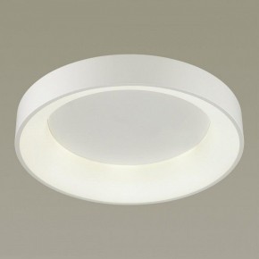 Накладной светильник Odeon Light Sole 4062/50CL в Менделеевске - mendeleevsk.mebel24.online | фото 2