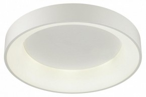 Накладной светильник Odeon Light Sole 4062/50CL в Менделеевске - mendeleevsk.mebel24.online | фото 3