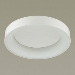 Накладной светильник Odeon Light Sole 4062/50CL в Менделеевске - mendeleevsk.mebel24.online | фото 4