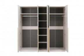 НИКОЛЬ 25 Шкаф 5-ти створчатый в Менделеевске - mendeleevsk.mebel24.online | фото 3
