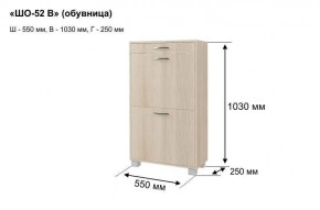 ШО-52 В тумба для обуви в Менделеевске - mendeleevsk.mebel24.online | фото 5