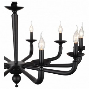 Подвесная люстра ST-Luce SL1114 SL1114.403.10 в Менделеевске - mendeleevsk.mebel24.online | фото 4