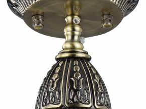 Подвесной светильник Favourite Sorento 1584-1P в Менделеевске - mendeleevsk.mebel24.online | фото 4