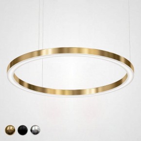 Подвесной светильник Imperiumloft Light Ring Horizontal 40.1454-120 в Менделеевске - mendeleevsk.mebel24.online | фото 1