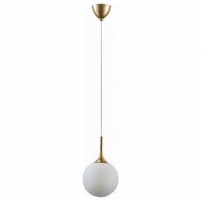 Подвесной светильник Lightstar Globo 813022 в Менделеевске - mendeleevsk.mebel24.online | фото 2