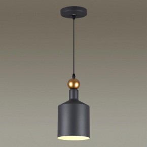 Подвесной светильник Odeon Light Bolli 4085/1 в Менделеевске - mendeleevsk.mebel24.online | фото 3