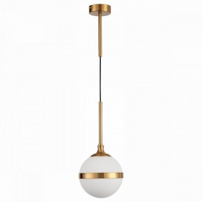 Подвесной светильник ST-Luce Arbe SL1157.303.01 в Менделеевске - mendeleevsk.mebel24.online | фото 2