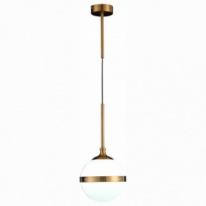 Подвесной светильник ST-Luce Arbe SL1157.303.01 в Менделеевске - mendeleevsk.mebel24.online | фото 3