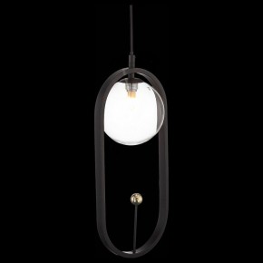 Подвесной светильник ST-Luce Circono SL1201.403.01 в Менделеевске - mendeleevsk.mebel24.online | фото 4