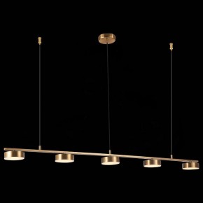 Подвесной светильник ST-Luce Pances SL6000.303.05 в Менделеевске - mendeleevsk.mebel24.online | фото 5