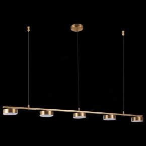 Подвесной светильник ST-Luce Pances SL6000.303.05 в Менделеевске - mendeleevsk.mebel24.online | фото 6