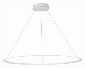 Подвесной светильник ST-Luce ST604 OUT ST604.543.57 в Менделеевске - mendeleevsk.mebel24.online | фото 3