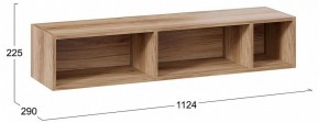 Полка навесная ТД-102.28 в Менделеевске - mendeleevsk.mebel24.online | фото 9