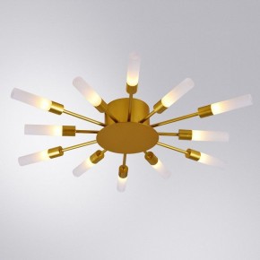 Потолочная люстра Arte Lamp Maple A1276PL-12GO в Менделеевске - mendeleevsk.mebel24.online | фото 1