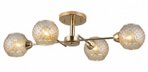 Потолочная люстра Rivoli Amalia Б0050815 в Менделеевске - mendeleevsk.mebel24.online | фото 3