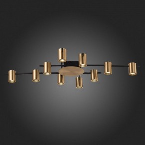 Потолочная люстра ST-Luce Veroli SL1207.402.10 в Менделеевске - mendeleevsk.mebel24.online | фото 6