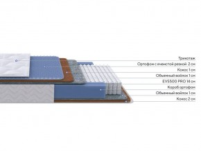 PROxSON Матрас Active Duo M/F (Ткань Трикотаж Эко) 160x195 в Менделеевске - mendeleevsk.mebel24.online | фото 2