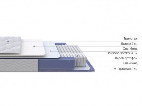 PROxSON Матрас Active Duo S/F (Ткань Трикотаж Эко) 180x190 в Менделеевске - mendeleevsk.mebel24.online | фото 2