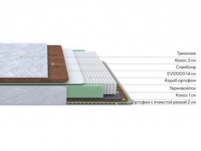 PROxSON Матрас Green Duo M/F (Tricotage Dream) 140x195 в Менделеевске - mendeleevsk.mebel24.online | фото 2