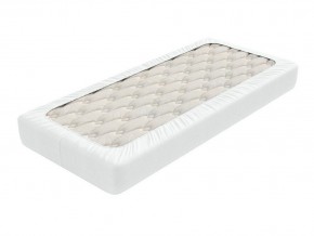 PROxSON Защитный чехол Aqua Save Light S (Ткань влагостойкая Tencel Jersey) 90x220 в Менделеевске - mendeleevsk.mebel24.online | фото 2