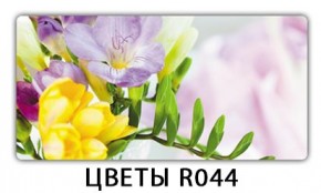 Раздвижной СТ Бриз орхидея R041 Кофе R012 в Менделеевске - mendeleevsk.mebel24.online | фото 16