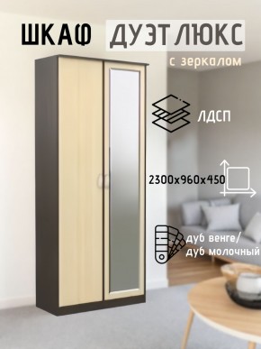 Шкаф 2-х створчатый Дуэт Люкс с зеркалом в Менделеевске - mendeleevsk.mebel24.online | фото