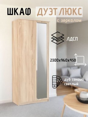 Шкаф 2-х створчатый Дуэт Люкс с зеркалом в Менделеевске - mendeleevsk.mebel24.online | фото 7