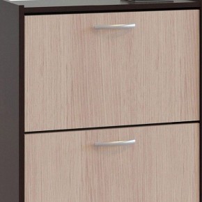 Шкаф для обуви ТО-24 в Менделеевске - mendeleevsk.mebel24.online | фото 4