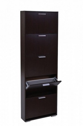 Шкаф для обуви УК-5 10000130 в Менделеевске - mendeleevsk.mebel24.online | фото