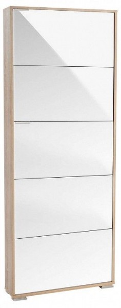 Шкаф для обуви Viva-5LW в Менделеевске - mendeleevsk.mebel24.online | фото