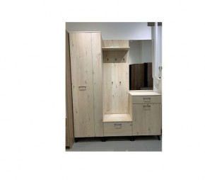 Шкаф для одежды 2-х дверный София 1 в Менделеевске - mendeleevsk.mebel24.online | фото 6