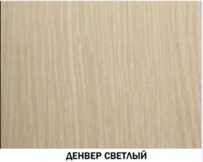 Шкаф для одежды №614 "Инна" Денвер светлый (*без полок) в Менделеевске - mendeleevsk.mebel24.online | фото 2