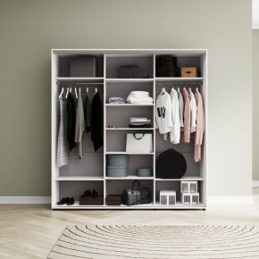 Шкаф-купе Акцент-Сим ДЗ 2100-600 в Менделеевске - mendeleevsk.mebel24.online | фото 2