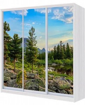 Шкаф-купе ХИТ 22-18-777 ПРИРОДА в Менделеевске - mendeleevsk.mebel24.online | фото