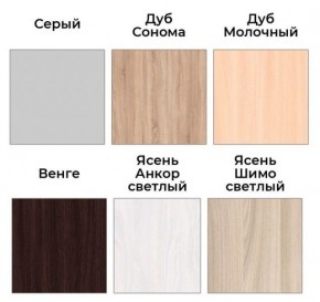 Шкаф-купе ХИТ 22-4-17-55 (420) в Менделеевске - mendeleevsk.mebel24.online | фото 3