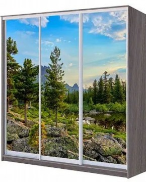 Шкаф-купе ХИТ 22-4-20/2-777 ПРИРОДА в Менделеевске - mendeleevsk.mebel24.online | фото