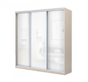 Шкаф-купе ХИТ 22-4-20-888 (420) в Менделеевске - mendeleevsk.mebel24.online | фото 4