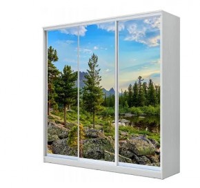 Шкаф-купе ХИТ 23-18-777 (620) в Менделеевске - mendeleevsk.mebel24.online | фото
