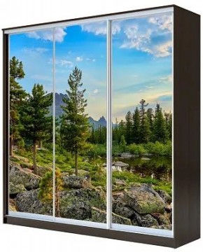 Шкаф-купе ХИТ 23-20-777 ПРИРОДА в Менделеевске - mendeleevsk.mebel24.online | фото