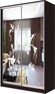 Шкаф-купе ХИТ 23-4-12/2-66 КОЛИБРИ в Менделеевске - mendeleevsk.mebel24.online | фото