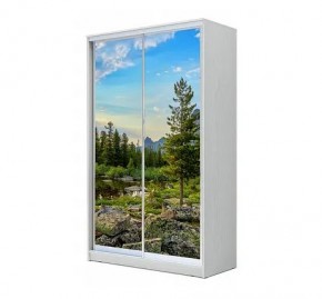 Шкаф-купе ХИТ 24-12/2-77 (620) в Менделеевске - mendeleevsk.mebel24.online | фото