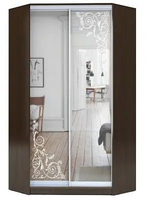 Шкаф-купе ХИТ-У-R-22-64-66 ОРНАМЕНТ в Менделеевске - mendeleevsk.mebel24.online | фото