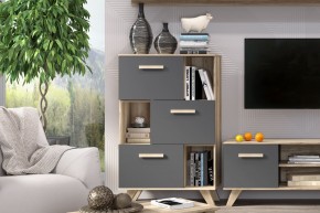 Шкаф низкий с нишами Вега Скандинавия в Менделеевске - mendeleevsk.mebel24.online | фото 6