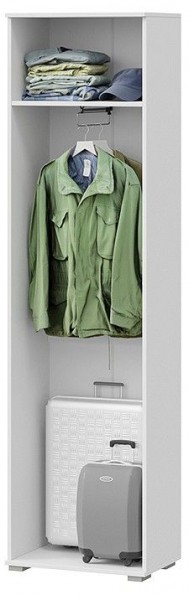 Шкаф платяной Эрика в Менделеевске - mendeleevsk.mebel24.online | фото 2